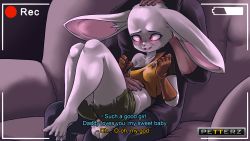 Rule 34 | 10s, 1boy, 1girl, animal ears, ass, barefoot, belly rub, blush, breasts, rabbit, dragon ball, dragon ball super, embarrassed, furry, gloves, hetero, highres, headpat, pink eyes, plague of gripes, shorts, sitting, smile, sorrel, sweat, tail