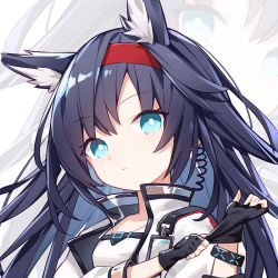 Rule 34 | 1girl, animal ear fluff, animal ears, arknights, black gloves, black hair, blaze (arknights), blue eyes, cat ears, expressionless, fingerless gloves, fox ears, gloves, hairband, jacket, long hair, looking at viewer, open clothes, open jacket, portrait, quan (kurisu tina), solo, white jacket, zoom layer