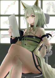 Rule 34 | 1girl, absurdres, animal ear fluff, animal ears, arknights, breasts, cat ears, chair, collar, commentary request, crossed legs, dress, green dress, green eyes, green hair, highres, holding, holding paper, kal&#039;tsit (arknights), material growth, medium breasts, medium hair, off-shoulder dress, off-shoulder jacket, off shoulder, office chair, oripathy lesion (arknights), paper, reading, see-through, see-through sleeves, sitting, solo, sora mame (princess 0sora), stethoscope, swivel chair, x-ray