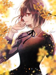 Rule 34 | 1girl, black dress, blurry, bob cut, brown hair, collared dress, commentary, depth of field, dress, falling petals, flower, hair between eyes, hand to own mouth, highres, juliet sleeves, lips, long sleeves, looking at viewer, neck ribbon, orange flower, original, osmanthus, petals, profile, puffy sleeves, red eyes, ribbon, short hair, sideways glance, smile, upper body, white background, yuuzuki lily