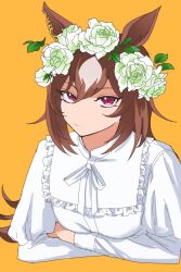 Rule 34 | 1girl, alternate costume, animal ears, bad link, breasts, brown hair, closed mouth, cropped torso, crossed arms, flower, flower wreath, frilled shirt collar, frills, frown, head wreath, highres, horse ears, long hair, long sleeves, looking at viewer, orange background, panipuri, red eyes, shirt, simple background, sirius symboli (umamusume), small breasts, solo, umamusume, upper body, white shirt