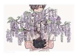Rule 34 | 1boy, bonsai, border, commentary request, covered mouth, flower, grey background, half-closed eyes, highres, holding, holding plant, kankara nashi, male focus, original, plant, potted plant, purple flower, shirt, short hair, short sleeves, simple background, solo, upper body, white border, white shirt, wisteria