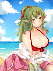 Rule 34 | 1girl, areola slip, beach, bikini, breasts, cleavage, fire emblem, green eyes, green hair, highres, kyousa38, large breasts, long hair, looking at viewer, nintendo, ocean, parted lips, pointy ears, ponytail, sand, sitting, solo, sweat, swimsuit, tiki (fire emblem)