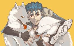 Rule 34 | 1boy, 2others, animal, blue hair, bracelet, closed mouth, cu chulainn (caster) (fate), cu chulainn (fate), dog, earrings, fangs, fate/grand order, fate (series), fur-trimmed hood, fur trim, grin, hood, hood down, jewelry, long hair, looking at viewer, male focus, multiple earrings, multiple others, multiple piercings, red eyes, shibanui, simple background, smile, solo, spiked hair, vambraces, white wolf, wolf