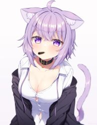 Rule 34 | 1girl, ahoge, belt collar, black collar, blush, breasts, cleavage, collar, food in mouth, highres, hololive, jacket, large breasts, looking at viewer, medium hair, mouth hold, naked shirt, neck ribbon, nekomata okayu, nekomata okayu (oversized shirt), official alternate costume, pocky, pocky day, pocky in mouth, purple eyes, purple hair, purple jacket, purple ribbon, ribbon, shirt, takashina taaa, virtual youtuber, white shirt