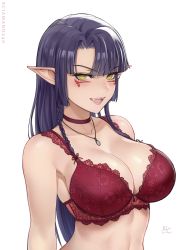 Rule 34 | 1girl, :d, bare shoulders, blush, bra, braid, breasts, choker, cleavage, facial mark, fangs, highres, jewelry, lace, lace-trimmed bra, lace trim, large breasts, lingerie, long hair, necklace, open mouth, original, pointy ears, purple hair, red bra, red choker, sciamano240, sidelocks, signature, simple background, smile, solo, underwear, valerie (sciamano240), vampire, white background, yellow eyes