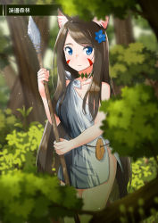 Rule 34 | 1girl, absurdres, aina (mao lian), animal ear fluff, animal ears, blue eyes, blue flower, blurry, blurry background, blurry foreground, brown hair, cat ears, cat tail, closed mouth, cowboy shot, facial mark, flintstone, flower, forest, hair flower, hair ornament, highres, holding, holding polearm, holding spear, holding weapon, long hair, looking at viewer, mao lian (nekokao), nature, original, polearm, rags, robe, smile, solo, spear, standing, tail, translation request, tree, two-handed, very long hair, weapon, white robe