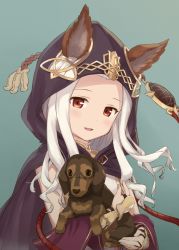 Rule 34 | 1girl, :d, animal, animal ears, animal hug, black cloak, blush, brown eyes, cloak, commentary request, dog, ears through headwear, fingernails, forehead, granblue fantasy, green background, head tilt, highres, hood, hood up, hooded cloak, long hair, looking at viewer, open mouth, parted bangs, sakunohi no moon, scathacha (granblue fantasy), silver hair, simple background, smile, solo, vambraces