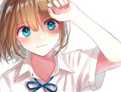 Rule 34 | 1girl, arm up, bad id, bad pixiv id, blue ribbon, blush, closed mouth, collared shirt, commentary request, hair between eyes, hami yura, looking at viewer, neck ribbon, original, ribbon, shirt, short hair, short sleeves, simple background, solo, upper body, white background, white shirt, wing collar