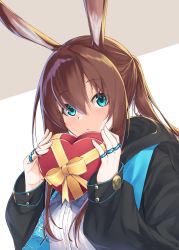 Rule 34 | 1girl, absurdres, amiya (arknights), animal ears, arknights, black jacket, blue eyes, box, brown hair, commentary request, grey background, hair between eyes, hands up, heart-shaped box, highres, holding, holding box, jacket, jewelry, karla (kimidori3), long hair, long sleeves, looking at viewer, rabbit ears, ring, shirt, sidelocks, solo, two-tone background, upper body, white background, white shirt