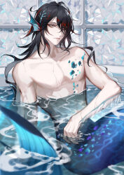 Rule 34 | 1boy, bathtub, bishounen, black hair, blue scales, closed mouth, completely nude, fins, full body, head fins, highres, indoors, long hair, looking at viewer, male focus, merman, monster boy, monsterification, multicolored hair, nijisanji, nijisanji en, nude, otsuatsushi, partially submerged, red hair, scales, sitting, solo, streaked hair, virtual youtuber, vox akuma, water, yellow eyes