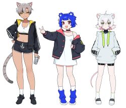 Rule 34 | 3girls, ahoge, animal ear fluff, animal ears, asymmetrical bangs, beer can, bike shorts, black footwear, black jacket, black shirt, black shorts, blue footwear, blue hair, boots, breasts, can, cat ears, cat girl, cat tail, choker, cleavage, closed mouth, commentary, crossed bangs, dark-skinned female, dark skin, dolphin shorts, dress, drink can, english commentary, expressionless, fang, flat chest, full body, green eyes, grey hair, grin, gris (vertigris), hand on own hip, hands in pockets, highres, holding, holding can, hood, hood down, hooded jacket, hoodie, jacket, kara (vertigris), long sleeves, looking at viewer, medium breasts, midriff, mouse ears, mouse girl, mouse tail, multicolored hair, multiple girls, navel, off shoulder, open clothes, open jacket, open mouth, original, outstretched arm, perl (vertigris), red eyes, sandals, shirt, shoes, short hair, short shorts, shorts, sleeveless, sleeveless dress, small breasts, smile, sneakers, socks, sports bra, standing, streaked hair, tail, v, vertigris, white dress, white hair, white hoodie, white socks, yellow eyes