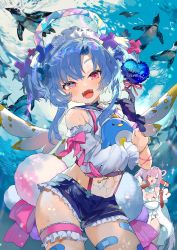 Rule 34 | + +, 2girls, :d, aano (10bit), angel, angel wings, bandaid, bare shoulders, bird, blue hair, bow, breasts, campanula, fangs, gloves, hair ornament, halo, heart, highres, hugging another&#039;s leg, jewelry, kakou shinku, large breasts, midriff, multiple girls, navel, open mouth, penguin, pink eyes, pink hair, red eyes, ring, setou kanna, silk, small breasts, smile, suspenders, underwater, virtual youtuber, wings, x hair ornament