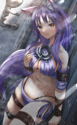 Rule 34 | 1girl, animal ear fluff, animal ears, arm strap, bikini, blush, breasts, criss-cross halter, halterneck, large breasts, looking at viewer, makoto (princess connect!), makoto (summer) (princess connect!), medium hair, navel, open mouth, princess connect!, purple bikini, purple hair, shower (place), sidelocks, solo, swimsuit, tail, thigh strap, thighs, totororo, water, wet, wolf ears, wolf girl, wolf tail, yellow eyes
