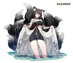 Rule 34 | 1girl, alternate hair color, animal ear fluff, animal ears, black dress, black hair, black sleeves, black tail, blue eyes, breasts, cleavage, cleavage cutout, closed mouth, closers, clothing cutout, copyright name, cowboy shot, dress, fox ears, fox girl, fox tail, frown, harpy (closers), highres, kitsune, kyuubi, large breasts, layered dress, logo, long hair, long sleeves, looking at viewer, low ponytail, mole, mole under eye, multiple tails, official art, overskirt, see-through, see-through sleeves, skirt hold, smile, solo, standing, tail, two-tone dress, very long hair, wading, water, wet, white background, white dress