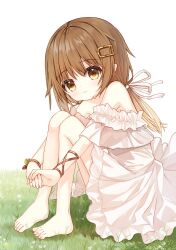 Rule 34 | 1girl, bare shoulders, barefoot, brown eyes, brown hair, closed mouth, commentary request, dress, frilled dress, frills, hair ornament, hairclip, hugging own legs, knees up, long hair, looking at viewer, low twintails, off-shoulder dress, off shoulder, on grass, original, own hands together, simple background, sitting, solo, squirrel girl (yuuhagi (amaretto-no-natsu)), twintails, white background, white dress, yuuhagi (amaretto-no-natsu)