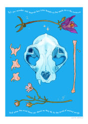Rule 34 | animal skull, artist name, blue background, bone, commentary, english commentary, english text, flower, gatoiberico, highres, no humans, original, purple flower, simple background, skull, white flower