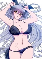 Rule 34 | 1girl, :d, animal ears, armpits, arms up, black hair, blue bra, blue panties, blush, bow, bow bra, bow panties, bra, breasts, brown eyes, cleavage, cleft of venus, collarbone, eyelashes, female focus, fox ears, fox girl, fox tail, gluteal fold, grey hair, highres, kemono friends, large breasts, long hair, looking at viewer, lying, mamiyama, midriff, multicolored hair, navel, on back, open mouth, panties, panty pull, silver fox (kemono friends), simple background, smile, solo, tail, teeth, thighs, toned, underwear, underwear only, very long hair, white background