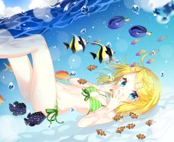 Rule 34 | 1girl, air bubble, bikini, blonde hair, breath, bubble, covering own mouth, fish, freediving, gradient background, hair ornament, hairclip, holding breath, jimmy madomagi, kagamine rin, solo, swimming, swimsuit, underwater, vocaloid