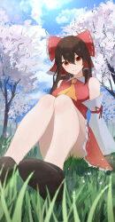 Rule 34 | 1girl, absurdres, arm support, ascot, ass, bare shoulders, bow, branch, brown hair, cherry blossoms, day, detached sleeves, from below, grass, hair between eyes, hair bow, hair tubes, hakurei reimu, highres, knees together feet apart, long hair, looking at viewer, on grass, outdoors, palulap, perspective, petals, red bow, red eyes, sitting, sky, smile, solo, touhou, tree