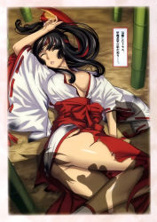 Rule 34 | 00s, 1girl, ass, black hair, blush, breasts, cleavage, eiwa, hakama, hakama skirt, highres, japanese clothes, large breasts, long hair, lying, miko, musha miko tomoe, queen&#039;s blade, red hakama, ribbon-trimmed sleeves, ribbon trim, skirt, sleeping, solo, tomoe (queen&#039;s blade), tomoe (queen's blade), torn clothes, translation request, you gonna get raped