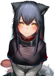 Rule 34 | 1girl, absurdres, animal ears, arknights, bad id, bad pixiv id, blush, bowl, character name, closed mouth, collar, embarrassed, hair between eyes, highres, looking at viewer, simple background, sitting, solo, tab head, tail, texas (arknights), wariza, wavy mouth, white background, wolf ears, wolf girl, wolf tail, yellow eyes