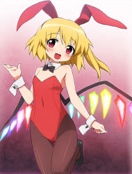 Rule 34 | 1girl, animal ears, bad id, bad pixiv id, blonde hair, blush, bow, bowtie, rabbit ears, playboy bunny, cuffs, detached collar, female focus, flandre scarlet, flat chest, pantyhose, red eyes, solo, embodiment of scarlet devil, tonbi, touhou, wings, wrist cuffs