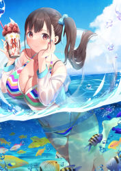 Rule 34 | 1girl, animal, azuma yuki, bare shoulders, bikini, blue bow, blue sky, bow, breasts, brown hair, cleavage, closed mouth, cloud, commentary request, cup, day, fish, food, fruit, groin, hair bow, hands up, highres, holding, holding cup, hood, hood down, hooded jacket, idolmaster, idolmaster shiny colors, innertube, jacket, large breasts, long sleeves, off shoulder, open clothes, open jacket, outdoors, partially submerged, partially underwater shot, red eyes, see-through, side ponytail, sky, smile, solo, sonoda chiyoko, strawberry, striped bikini, striped clothes, swim ring, swimming, swimsuit, underwater, water, wet jacket