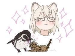 Rule 34 | 10s, 1girl, animal, animal ears, animalization, animals kissing, artist name, bird, black-framed eyewear, blonde hair, blood, cat ears, closed eyes, closed mouth, dot nose, extra ears, eye contact, eyelashes, facing viewer, glasses, humboldt penguin, humboldt penguin (kemono friends), kab00m chuck, kemono friends, kiss, looking at another, lying, margay, margay (kemono friends), nosebleed, penguin, portrait, short hair, signature, smile, sparkle, spotted hair, standing, trembling, white background, yuri