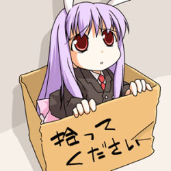Rule 34 | 1girl, animal ears, box, rabbit ears, cardboard box, female focus, for adoption, in box, in container, long hair, lowres, purple hair, red eyes, reisen udongein inaba, sad, sitting, solo, take me home, touhou, translated