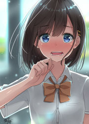Rule 34 | 1girl, blue eyes, blurry, blurry background, blush, bow, bowtie, breasts, brown hair, collared shirt, commentary request, depth of field, hair between eyes, hair ornament, hairclip, hand up, long hair, miko fly, nose blush, open mouth, orange bow, orange bowtie, original, round teeth, school uniform, see-through, shirt, short sleeves, simple background, small breasts, solo, teeth, upper teeth only, white shirt