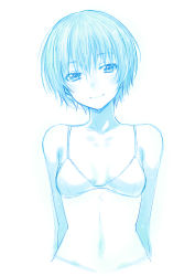 Rule 34 | 1girl, bad id, bad pixiv id, bare shoulders, blue theme, blush, bra, breasts, cleavage, highres, looking at viewer, monochrome, original, puyo (puyotopia), short hair, sketch, small breasts, solo, underwear