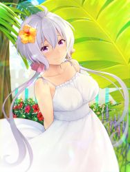 Rule 34 | 1girl, :d, ahoge, alternate costume, arms behind back, bad id, bad pixiv id, bare arms, bare shoulders, blush, breasts, bush, cloud, cloudy sky, collarbone, day, dress, dutch angle, fence, flower, hair between eyes, hair flower, hair ornament, hibiscus, highres, large breasts, leaf, lens flare, long hair, looking at viewer, low twintails, ocean, open mouth, orange flower, palm tree, panties, purple eyes, red flower, ribbon, see-through, senki zesshou symphogear, silver hair, sky, sleeveless, sleeveless dress, smile, solo, sundress, tree, twintails, underbust, underwear, very long hair, white dress, white panties, white ribbon, wooden fence, yukine chris, yuzuriha (active homing)