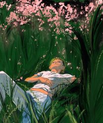 Rule 34 | 1boy, black eyes, feleven, flower, green hair, looking up, lying, male focus, on back, one piece, outdoors, petals, plant, roronoa zoro, short hair, short sleeves