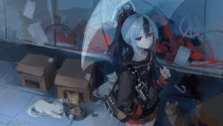 Rule 34 | 1girl, animal, bag, black hair, black jacket, blue archive, bowl, cat, closed mouth, demon horns, grey hair, hair between eyes, hair ornament, halo, hand in pocket, highres, holding, holding umbrella, hood, horns, jacket, kayoko (blue archive), long hair, long sleeves, looking at viewer, meinoss, multicolored hair, outdoors, pet bowl, ponytail, red eyes, shoulder bag, two-tone hair, umbrella