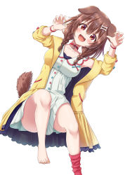 Rule 34 | 1girl, :d, absurdres, animal ears, bare shoulders, blush, bone hair ornament, braid, breasts, brown eyes, brown hair, cartoon bone, choker, claw pose, clothes between thighs, collarbone, commentary request, dog ears, dog girl, dog tail, dress, fangs, fingernails, hair between eyes, hair ornament, highres, hololive, inugami korone, inugami korone (1st costume), jacket, long hair, long sleeves, looking at viewer, nail polish, open clothes, open jacket, open mouth, rariemonn, red choker, red socks, shoes, simple background, single shoe, sleeveless, sleeveless dress, small breasts, smile, socks, solo, tail, toenail polish, toenails, twin braids, virtual youtuber, white background, white dress, yellow jacket, yellow nails