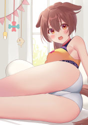 Rule 34 | absurdres, animal ears, ass, blouse, blush, breasts, brown eyes, brown hair, commentary, crotch seam, decorations, dog ears, fangs, highres, hololive, hololive gamers, hyoka koyo, inugami korone, large breasts, looking at viewer, looking back, lying, on side, open mouth, panties, pillow, presenting, shirt, sideboob, sportswear, tail, thighs, underwear, virtual youtuber, white panties, window, yellow shirt