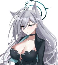 Rule 34 | 1girl, ahoge, animal ears, blue archive, blue eyes, breasts, choker, cleavage, commentary request, grey hair, hair between eyes, halo, korean commentary, large breasts, long hair, looking at viewer, partial commentary, shiroko (blue archive), shiroko terror (blue archive), simple background, skyrain315, solo, very long hair, white background