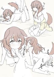 Rule 34 | 1girl, absurdres, ahoyhoi, animal ears, ass, bed sheet, braid, breasts, brown eyes, brown hair, cleavage, dog ears, dog girl, dog tail, doggystyle, dress, erection, fellatio, from above, from behind, hair ornament, hairclip, highres, hololive, inugami korone, looking up, medium breasts, multiple views, nude, open mouth, oral, penis, reverse cowgirl position, sex, sex from behind, straddling, sweat, sweater, tail, virtual youtuber