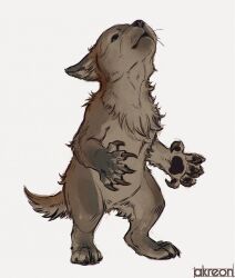 Rule 34 | akreon, artist name, brown fur, claws, closed mouth, dog, looking up, no humans, original, puppy, simple background, solo, standing, werewolf, white background