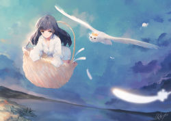 Rule 34 | 1girl, bird, black hair, blue eyes, blue sky, closed mouth, cloud, cloudy sky, collared shirt, crown, day, dress shirt, feathers, flying, full moon, highres, in basket, in container, kisei2, long hair, long sleeves, moon, original, outdoors, oversized clothes, oversized object, oversized shirt, owl, shirt, signature, sky, sleeves past fingers, sleeves past wrists, smile, solo, very long hair, water, white feathers, white shirt