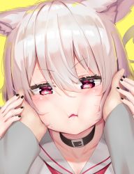 Rule 34 | 1girl, :i, animal ear fluff, animal ears, black collar, black nails, collar, collarbone, commentary request, fang, grey hair, hair between eyes, hands on another&#039;s cheeks, hands on another&#039;s face, highres, long sleeves, looking at viewer, nail polish, original, out of frame, parted lips, red eyes, reinama, sailor collar, school uniform, serafuku, shirt, simple background, solo focus, v-shaped eyebrows, white sailor collar, white shirt, yellow background