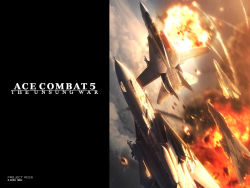 Rule 34 | ace combat, ace combat 5, drop tank, f-14, missile, namco, tagme, wardog squadron