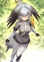 Rule 34 | 1girl, ankle boots, bird girl, bird tail, black gloves, blush, boots, closed mouth, collared shirt, cross-laced footwear, fingerless gloves, gloves, grey footwear, grey hair, grey pantyhose, grey shirt, grey shorts, guchico, hair between eyes, head wings, kemono friends, layered sleeves, long sleeves, looking at viewer, multicolored hair, necktie, pantyhose, shirt, shoebill (kemono friends), short over long sleeves, short shorts, short sleeves, shorts, side ponytail, solo, tail, white necktie, wing collar, wings, yellow eyes