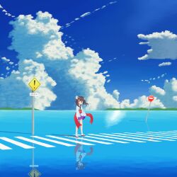 Rule 34 | 1girl, absurdres, blade, blue sky, brown hair, closed mouth, cloud, cloudy sky, commentary, crosswalk, cumulonimbus cloud, day, floating hair, headgear, highres, japanese clothes, kimono, light blush, long sleeves, looking at viewer, medium hair, obi, obijime, ocean, outdoors, pleated skirt, purple skirt, red eyes, red sash, reflection, reflective water, road sign, sandals, sash, scenery, shadow, short kimono, short twintails, sign, skirt, sky, socks, solo, standing, standing on liquid, swept bangs, touhoku kiritan, twintails, voiceroid, warning sign, water, white kimono, white socks, wide shot, wide sleeves, wind, yasashii gomibako, zouri