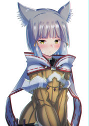 Rule 34 | 1girl, absurdres, animal ears, blunt bangs, bodysuit, breasts, cat ears, cat girl, facial mark, highres, latte, nia (xenoblade), short hair, silver hair, simple background, small breasts, solo, white background, xenoblade chronicles (series), xenoblade chronicles 2, yellow bodysuit, yellow eyes
