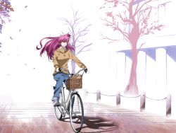Rule 34 | 1girl, bare tree, basket, bicycle, brown eyes, denim, floating hair, futaki kanata, jeans, k3 (dolphin brain), little busters!, long hair, long sleeves, looking away, outdoors, pants, pavement, purple hair, riding, shadow, shoes, sneakers, solo, sunlight, sweater, tree, wing collar