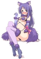 Rule 34 | 1girl, animal ears, blush, closed mouth, cosplay, elbow gloves, full body, fur-trimmed gloves, fur-trimmed legwear, fur collar, fur trim, gloves, halloween costume, high heels, hinata yukari, kemonomimi mode, long hair, looking at viewer, mash kyrielight, mash kyrielight (dangerous beast), mash kyrielight (dangerous beast) (cosplay), mel (melty pot), navel, nose blush, official alternate costume, purple eyes, purple footwear, purple gloves, purple hair, purple thighhighs, revealing clothes, shadow, shoes, simple background, sitting, solo, sweatdrop, tail, thighhighs, wavy mouth, white background, wolf ears, wolf tail, yuyushiki