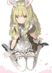 Rule 34 | 1girl, animal ears, apron, blonde hair, curly hair, dress, elin, emily (pure dream), from above, high heels, highres, long hair, looking up, maid, mary janes, rabbit ears, shoes, sitting, solo, tera online, thighhighs, white thighhighs, yellow eyes