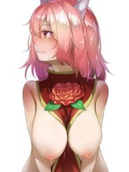Rule 34 | 1girl, bare shoulders, between breasts, blush, breasts, commentary request, flower, hanging breasts, horns, ibaraki douji&#039;s arm, ibaraki kasen, large breasts, looking to the side, naked tabard, nipples, pink flower, pink hair, pink rose, piyodesu, red eyes, rose, short hair, solo, spoilers, tabard, touhou, turtleneck, white background